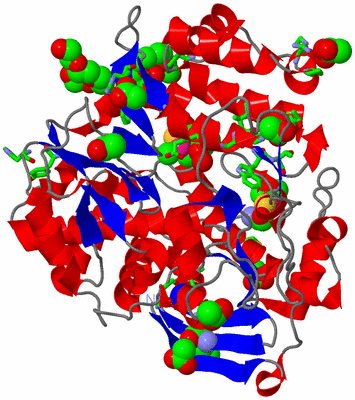 Image Asym./Biol. Unit - sites