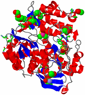 Image Asym./Biol. Unit - sites