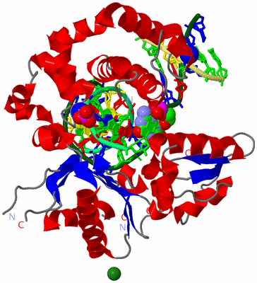 Image Asym./Biol. Unit