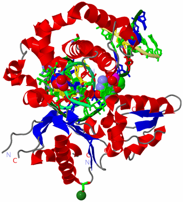 Image Asym./Biol. Unit - sites