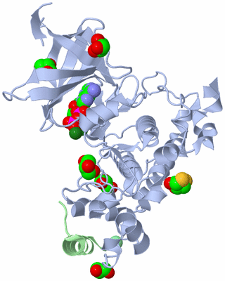 Image Asym./Biol. Unit