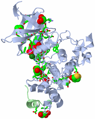 Image Asym./Biol. Unit - sites