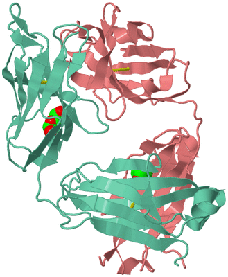 Image Biological Unit 1