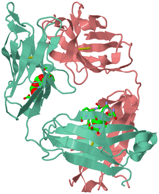 Image Biol. Unit 1 - sites