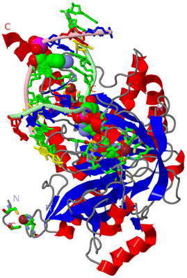 Image Asym./Biol. Unit - sites