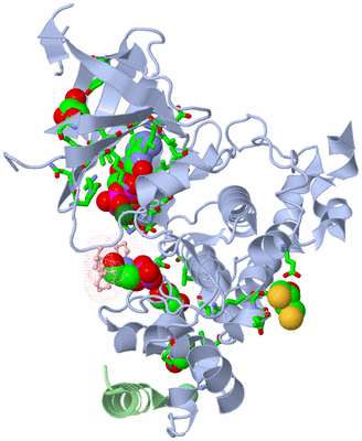 Image Asym./Biol. Unit - sites