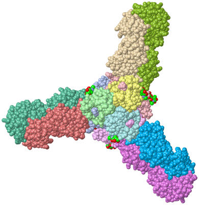 Image Asym./Biol. Unit