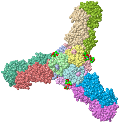 Image Asym./Biol. Unit - sites