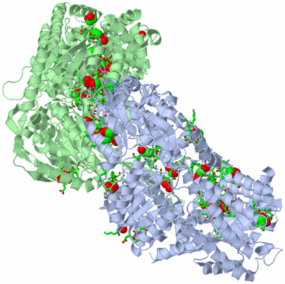 Image Asym./Biol. Unit - sites