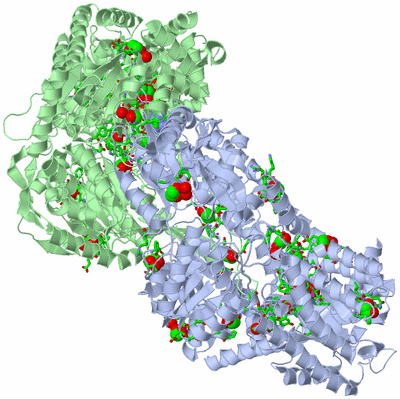 Image Asym./Biol. Unit - sites