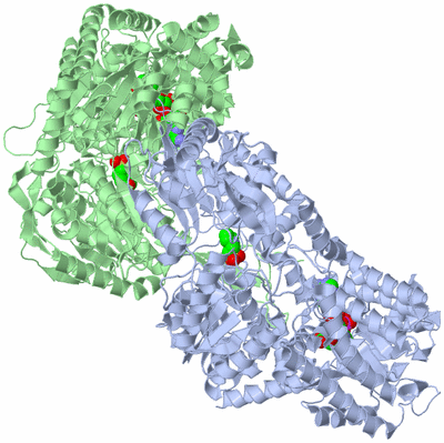 Image Asym./Biol. Unit