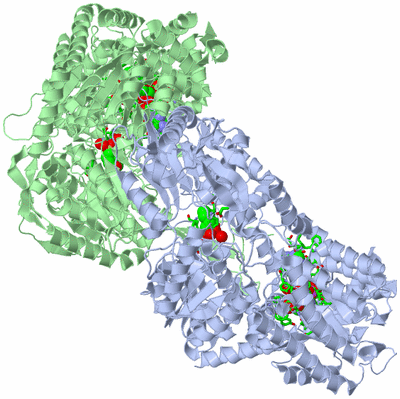 Image Asym./Biol. Unit - sites