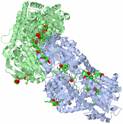 Image Asym./Biol. Unit - sites