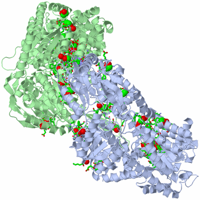 Image Asym./Biol. Unit - sites