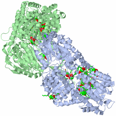 Image Asym./Biol. Unit - sites