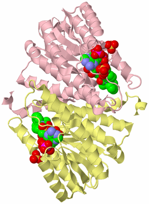 Image Biological Unit 2