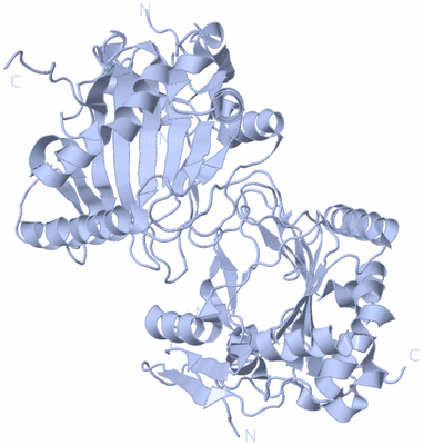 Image Biological Unit 1