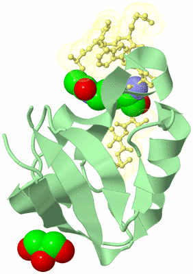 Image Biological Unit 2