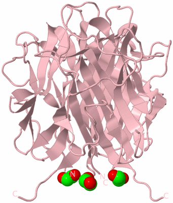 Image Biological Unit 3