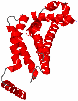 Image Asymmetric Unit