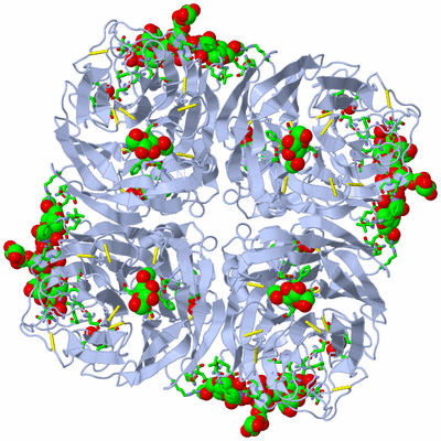 Image Biol. Unit 1 - sites