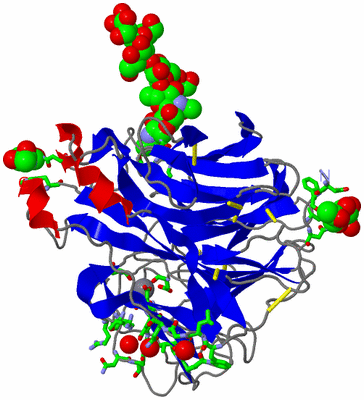 Image Asym. Unit - sites