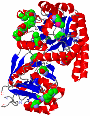 Image Asym./Biol. Unit