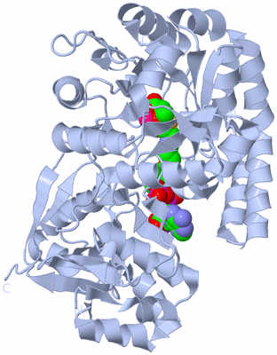 Image Biological Unit 1