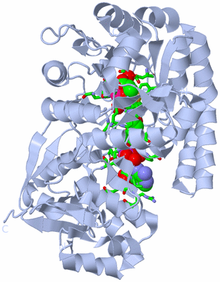 Image Biol. Unit 1 - sites