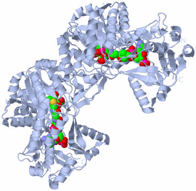 Image Biological Unit 2