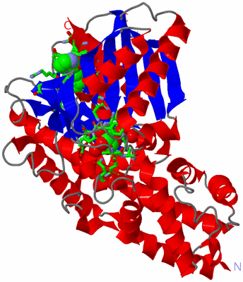 Image Asym./Biol. Unit - sites