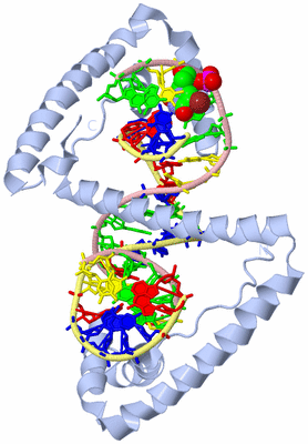 Image Biological Unit 1