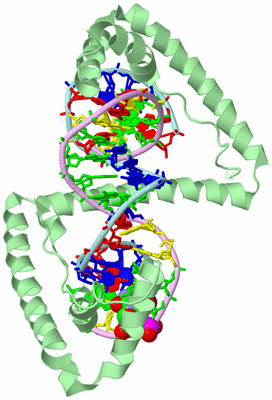 Image Biological Unit 2