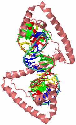 Image Biological Unit 4