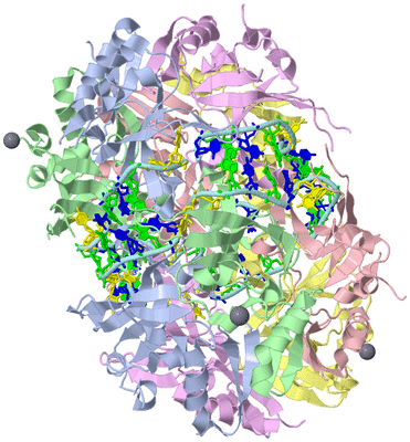 Image Biological Unit 1