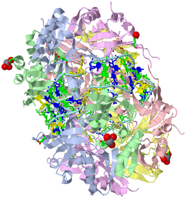 Image Biol. Unit 1 - sites