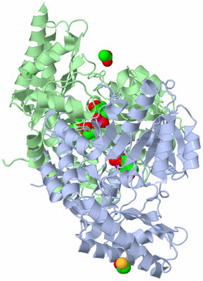 Image Asym./Biol. Unit