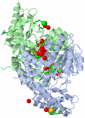 Image Asym./Biol. Unit - sites