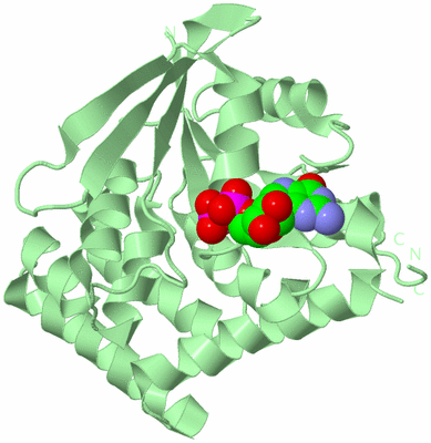 Image Biological Unit 2