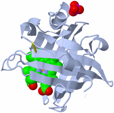 Image Biological Unit 1