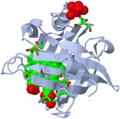 Image Biol. Unit 1 - sites