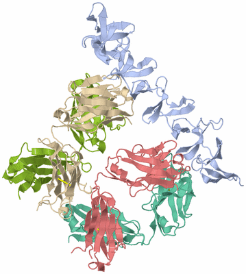 Image Asym./Biol. Unit