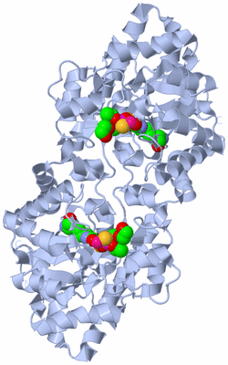 Image Biological Unit 1