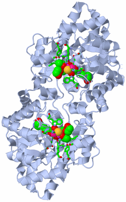 Image Biol. Unit 1 - sites