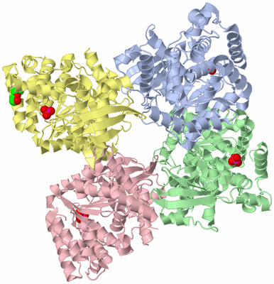 Image Asym./Biol. Unit