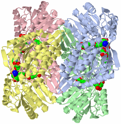 Image Asym./Biol. Unit