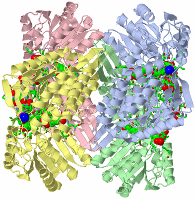 Image Asym./Biol. Unit - sites