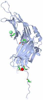 Image Biol. Unit 1 - sites