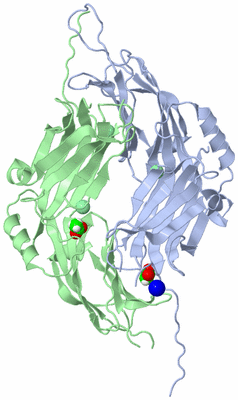 Image Biological Unit 4