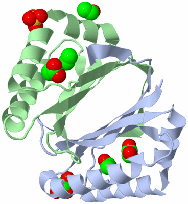 Image Asym./Biol. Unit